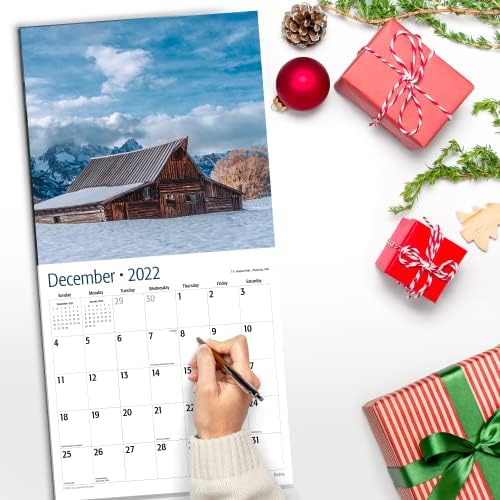 אסמי אמבר אדומים ינואר - דצמבר 2023 לוח השנה הקיר החודשי | מהדורת Deluxe - 5 תמונות נוספות בעמוד מלא